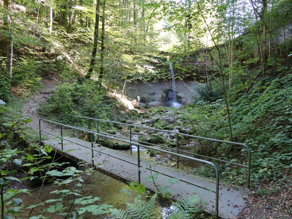 Steg und Wissenbach-Wasserfall III