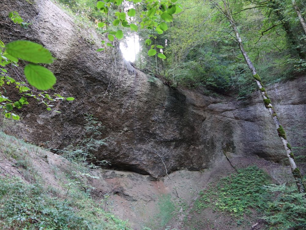 Lochbach-Wasserfall II