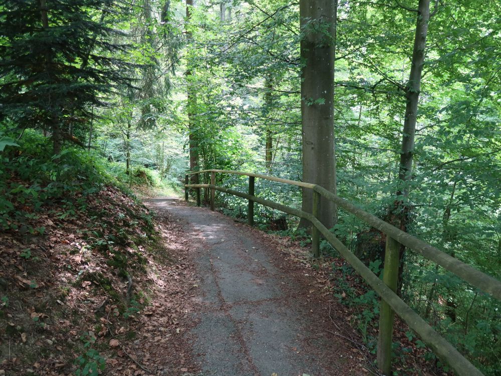 Friedbachfussweg