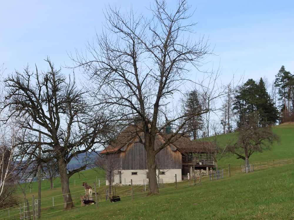 Bauernhof Brunnacher