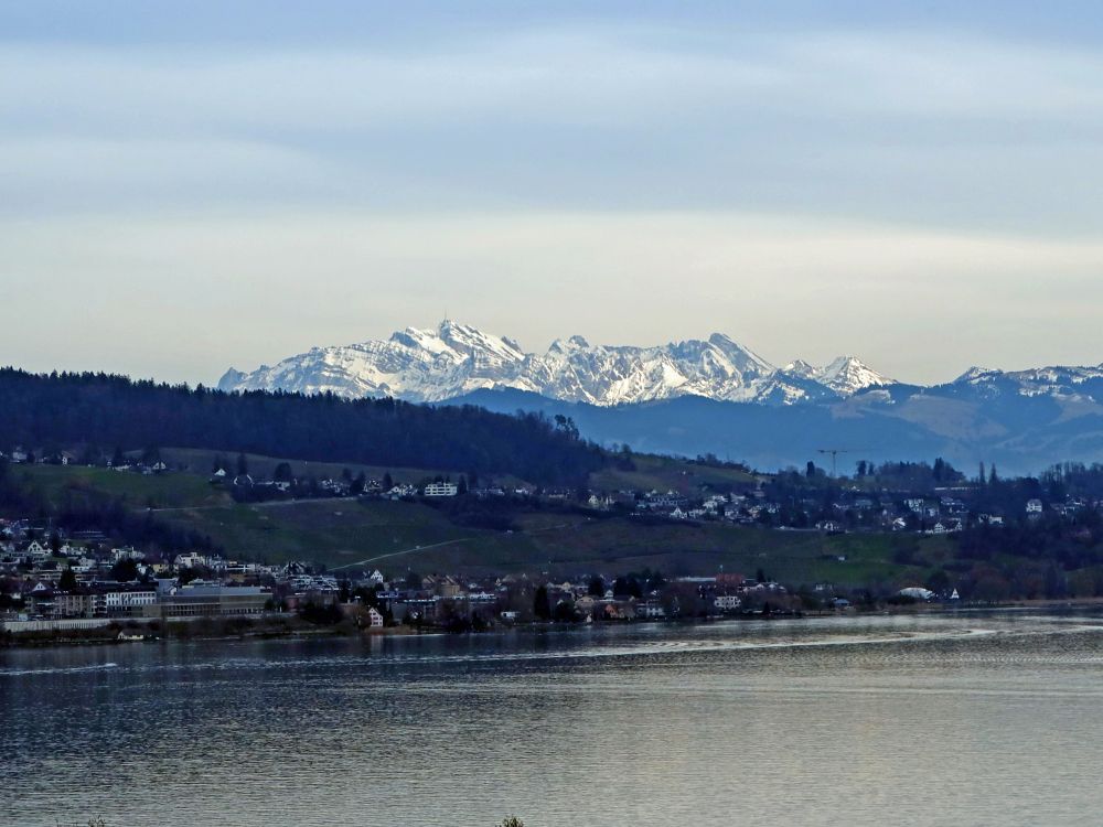 Säntis bis Lütispitz überm Zürichsee