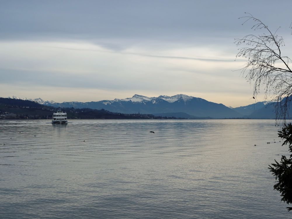 Fähre auf dem Zürichsee