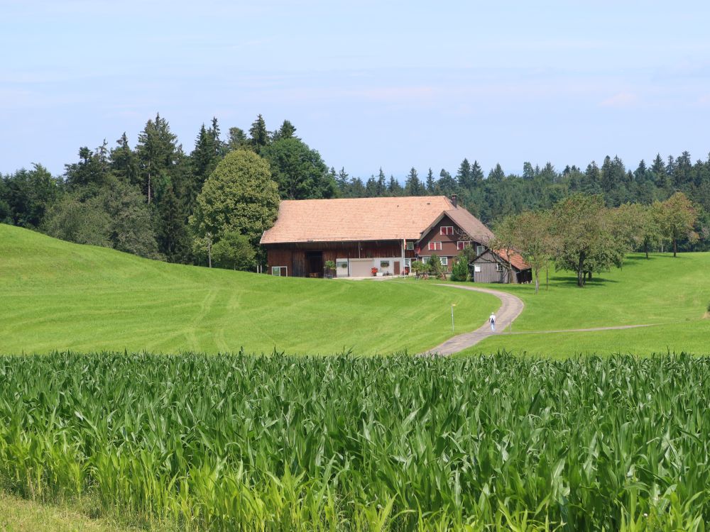 Bauernhof Wöösch