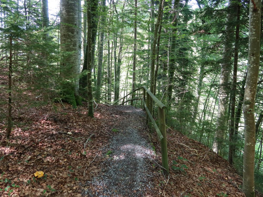 Waldweg