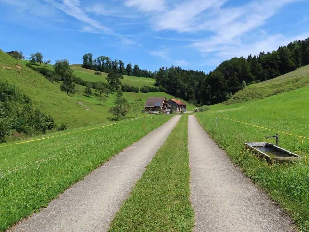 Düregg und Brunnen am Weg