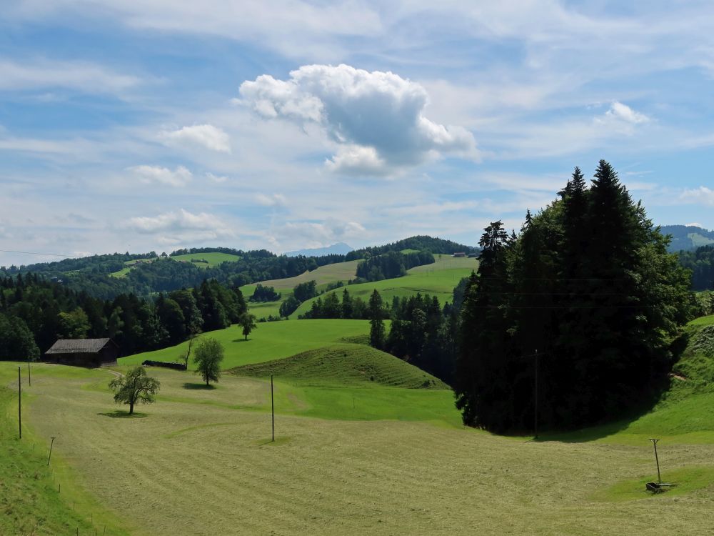 Blick Richtung Säntis