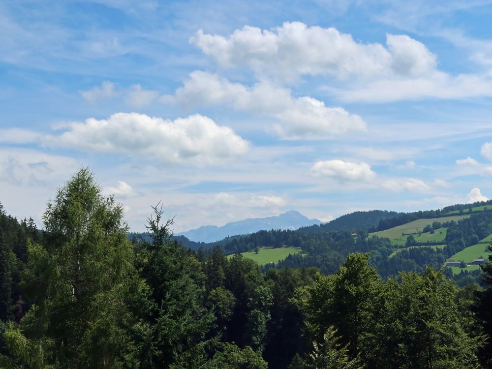 Blick Richtung Säntis