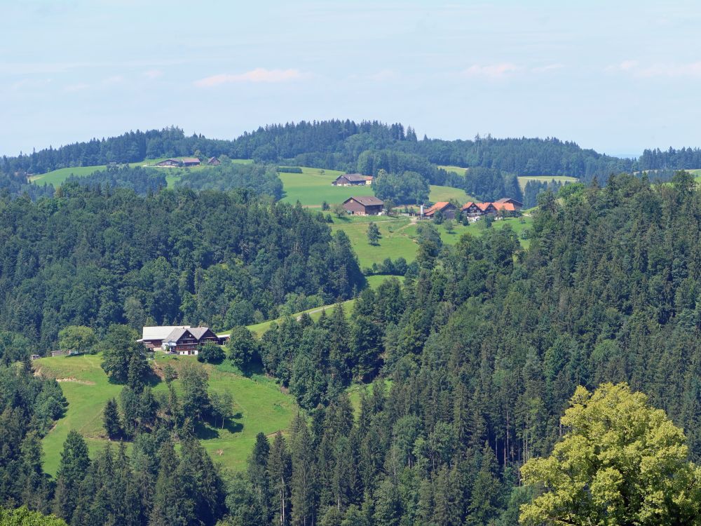 Blick Richtung Gonzenwil