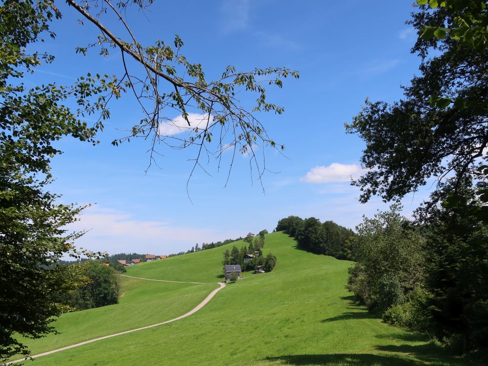 Mämetschwil und Weid