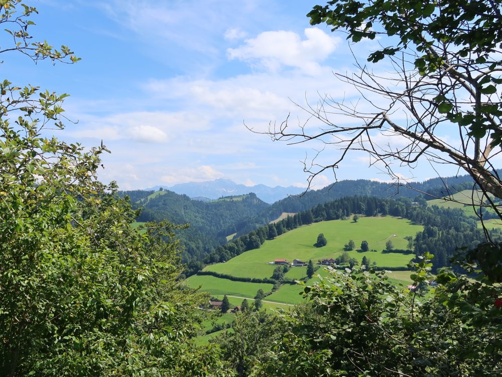 Blick Richtung Säntis