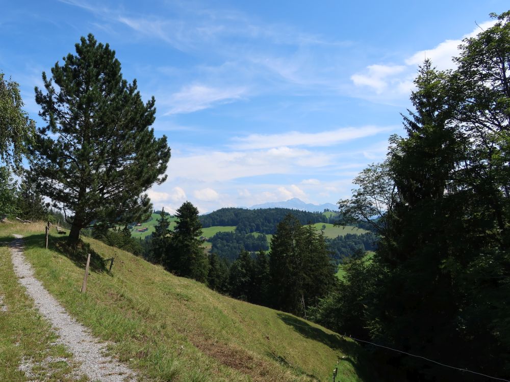 Blick Richtung Säntis