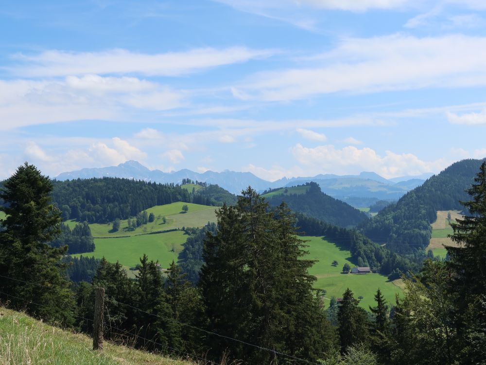 Blick Richtung Säntis