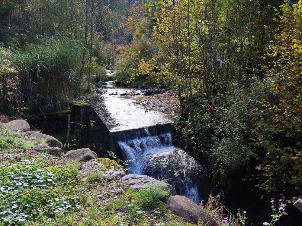 Wasserfall