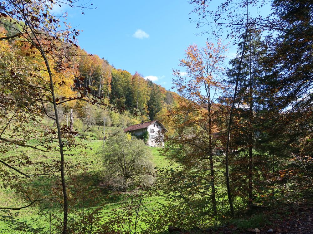 Haus unterm Herbstwald