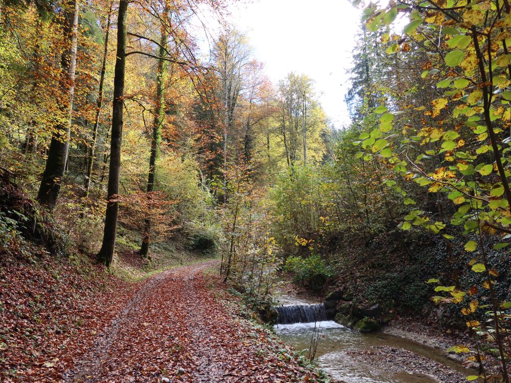 Weg am Kollerbach