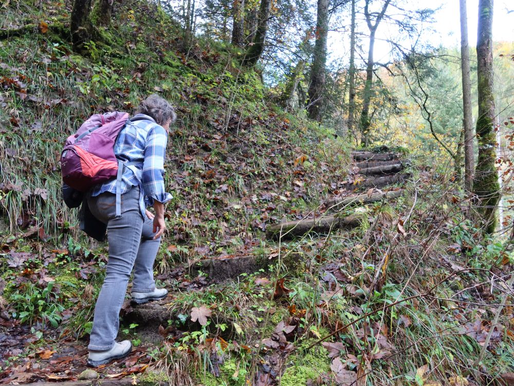 Waldtreppe