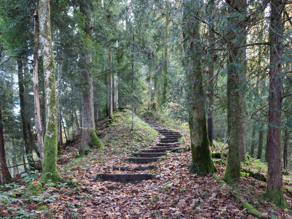 Treppe