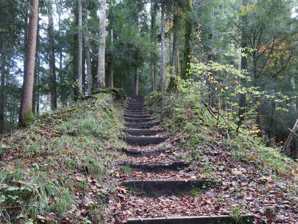 Treppe