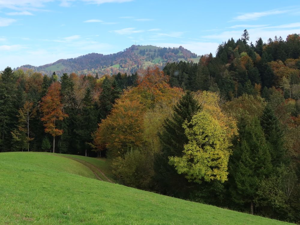 Blick zum Hörnli