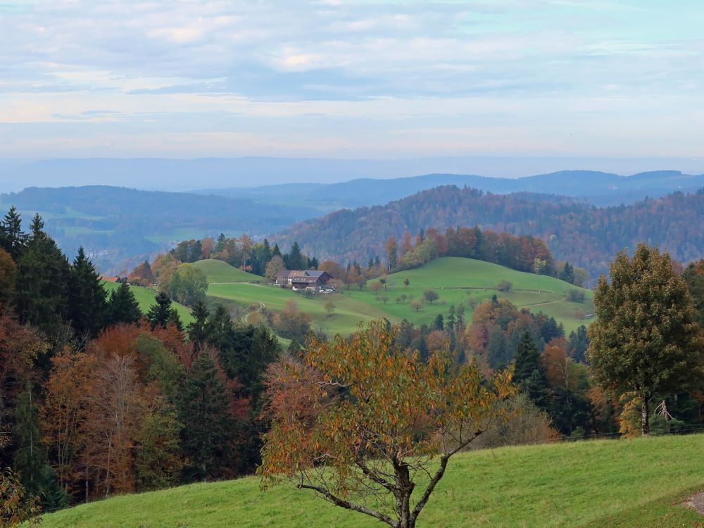 Blick zum oberen Wolfsberg