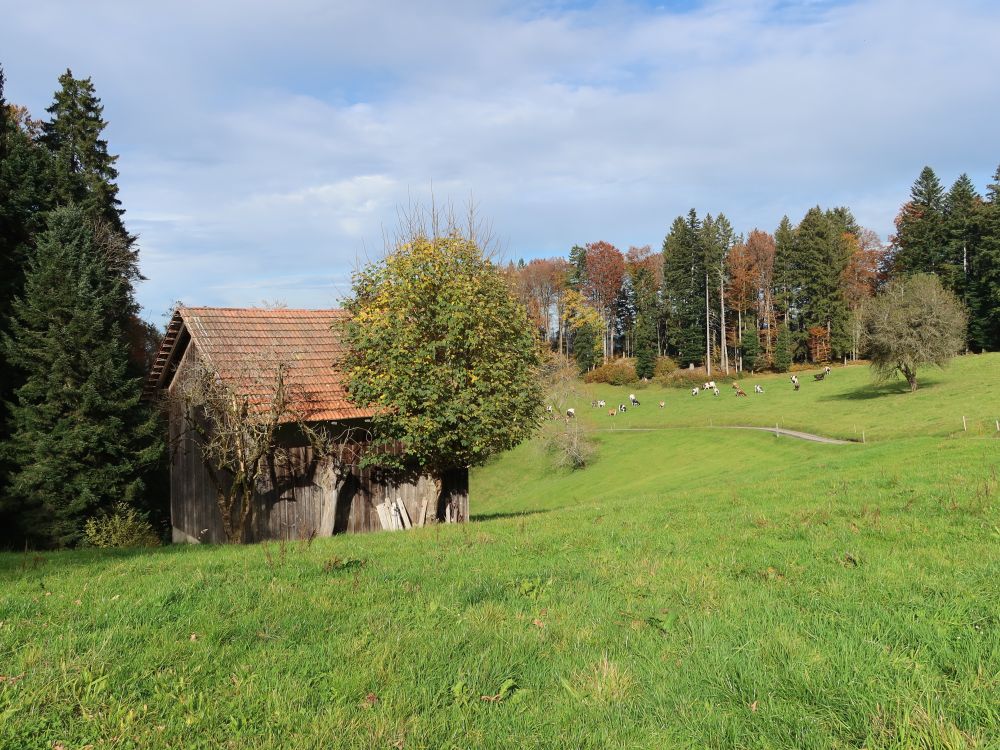 Hütte am Stattboden