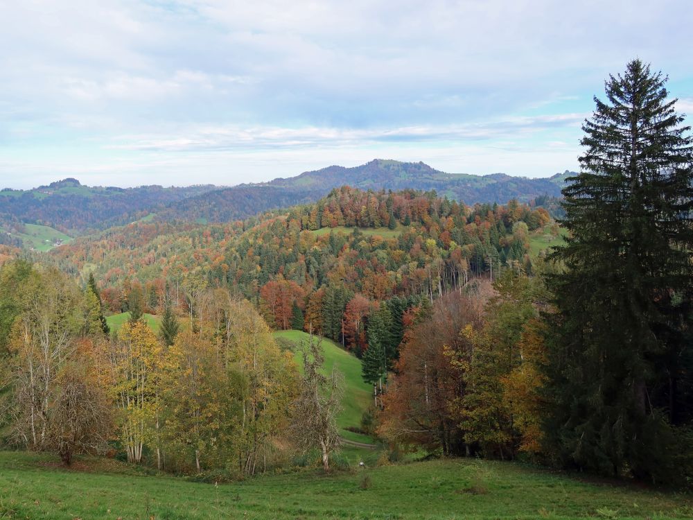 Blick Richtung Hörnli