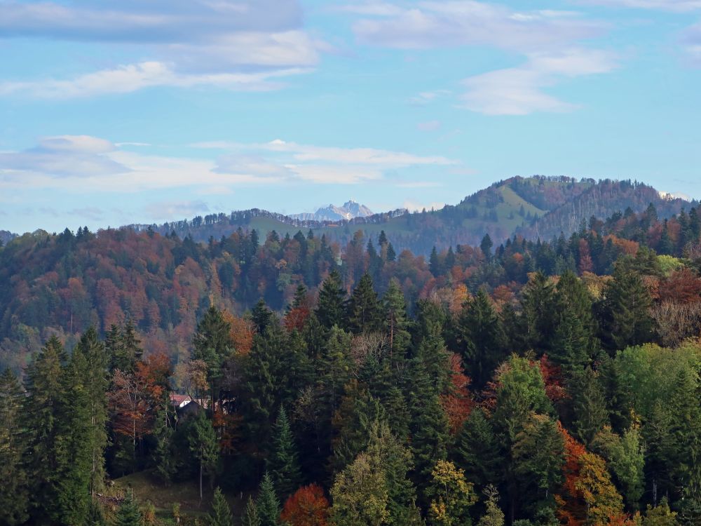 Blick Richtung Säntis