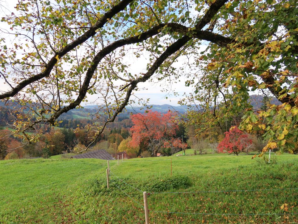 Herbstfarben