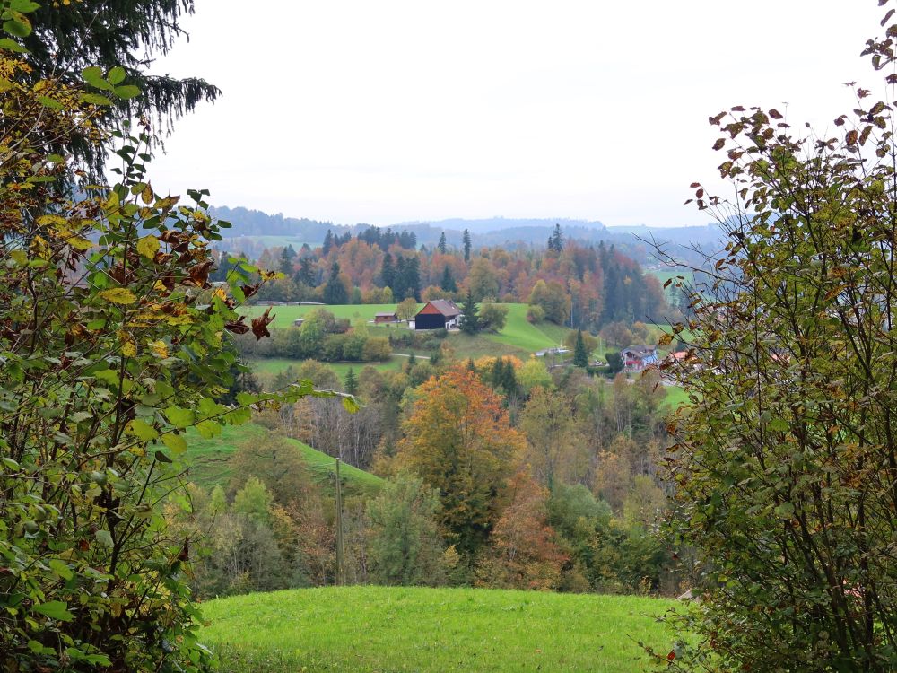 Blick Richtung Höckler