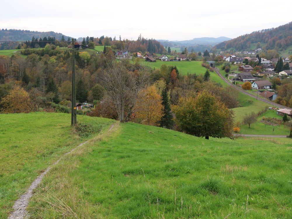 Wiesenpfad bei Hinterwis