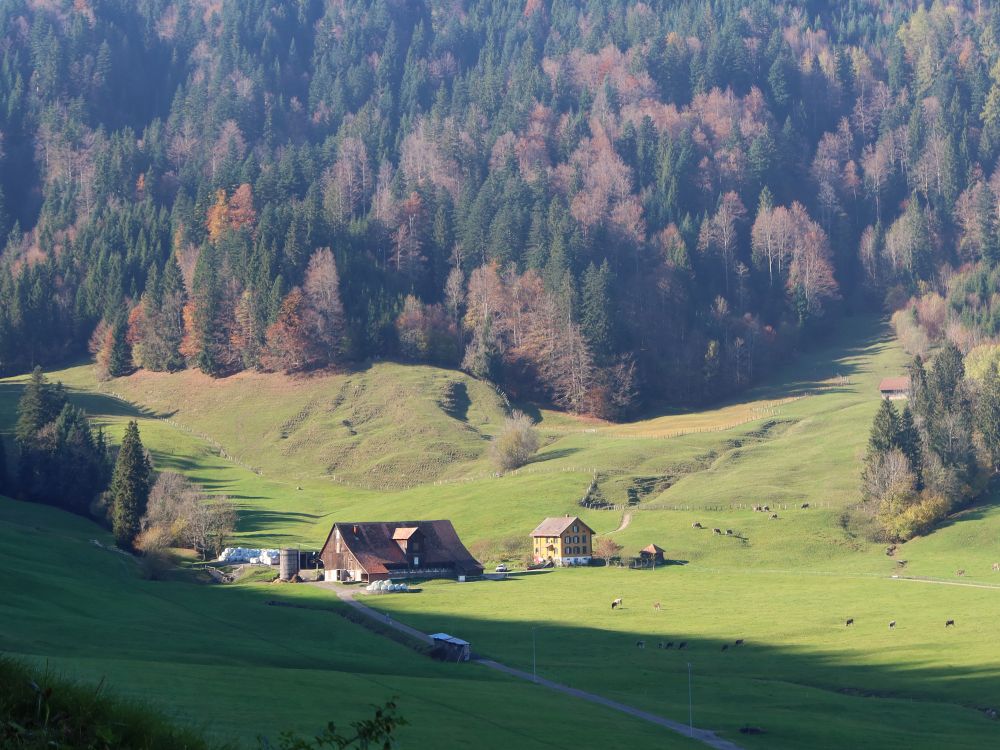 Bauernhof Bolzberg