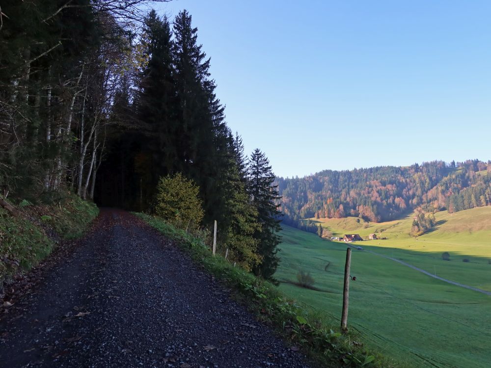 Blick Richtung Bolzberg