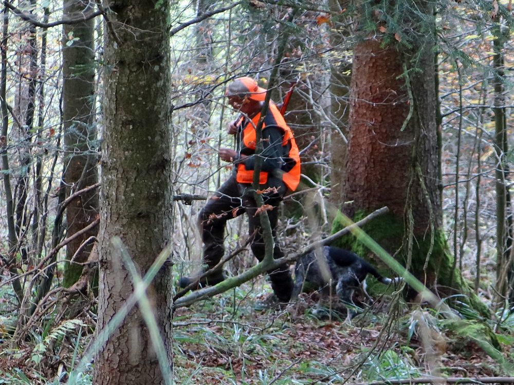 Jäger im Wald