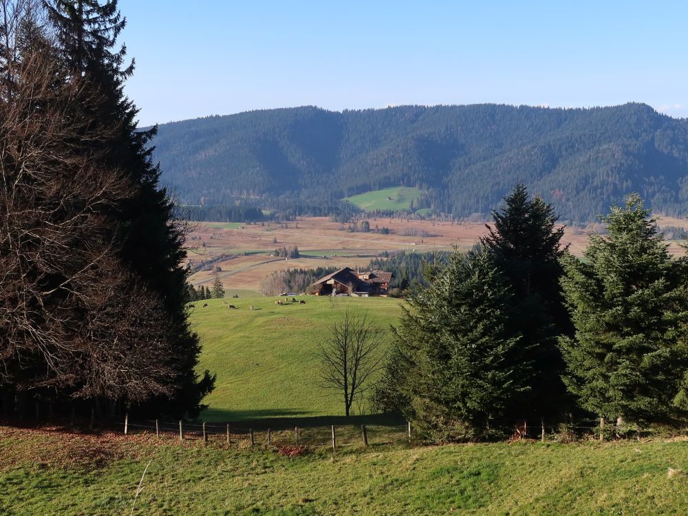 Ober Günzli und Hochmoor Wijer