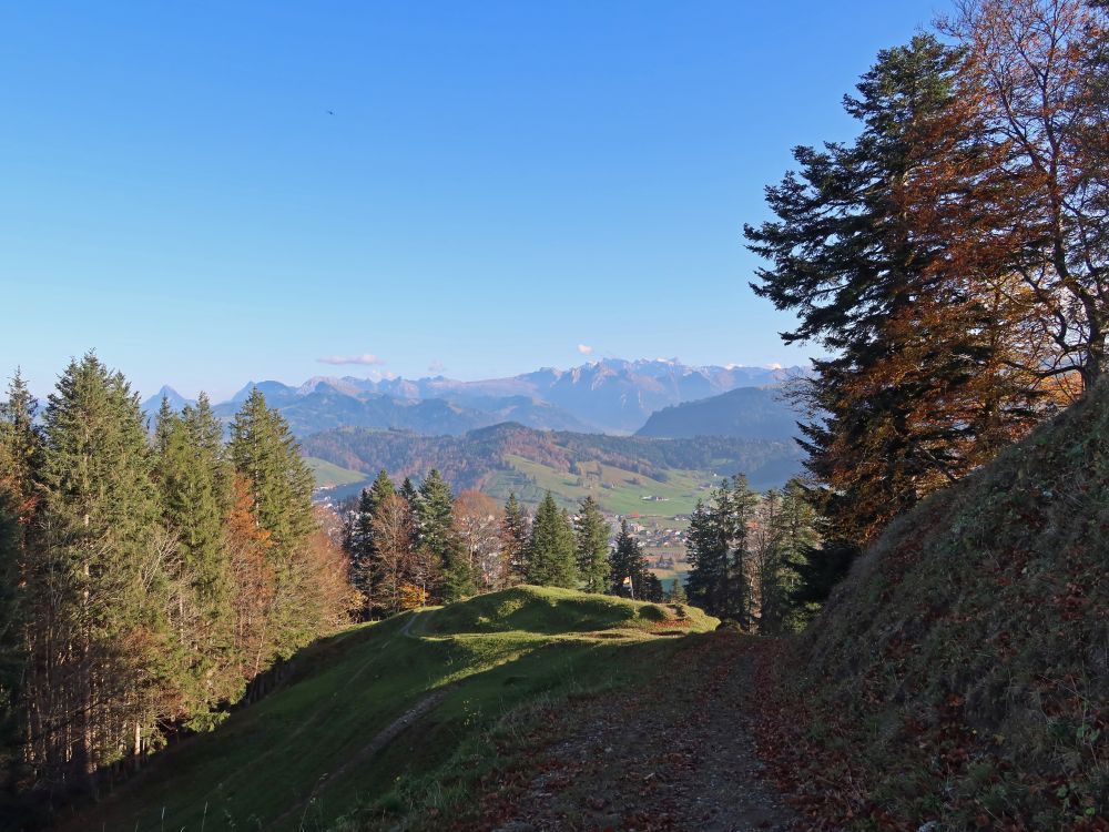 Pfad oberhalb Chätzer