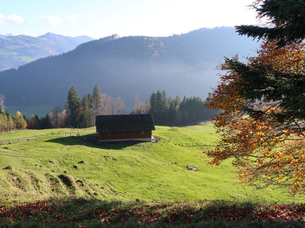 Scheuner bei Chätzer