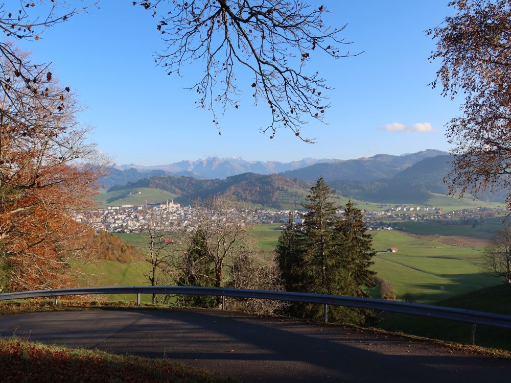 Blick Richtung Einsiedeln