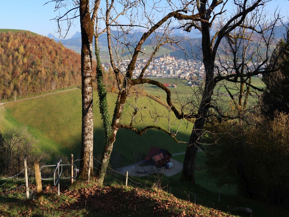 Einsiedeln zwischen Ästen und Albeggrai