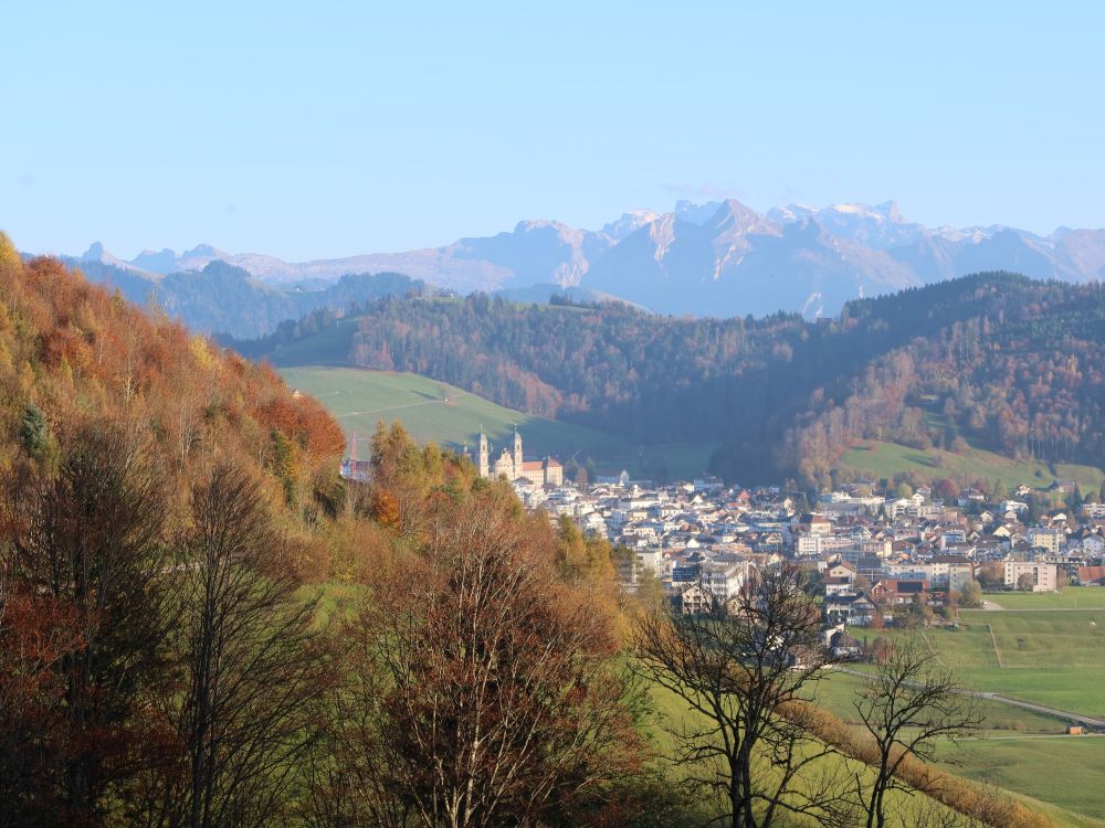 Blick Richtung Einsiedeln