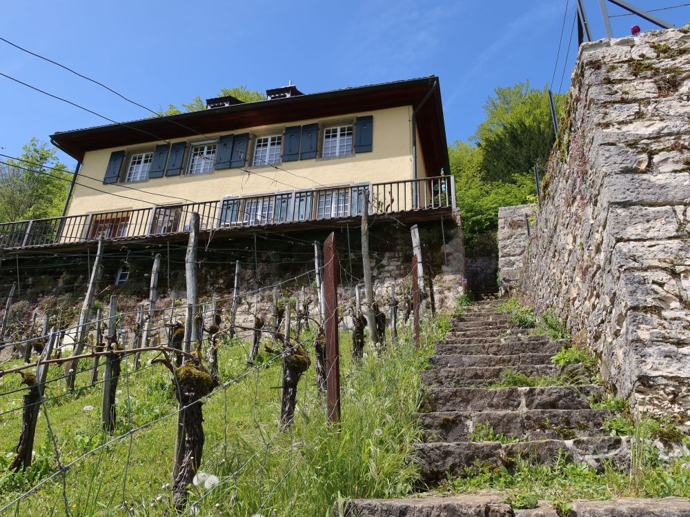 Treppe am Rebgarten