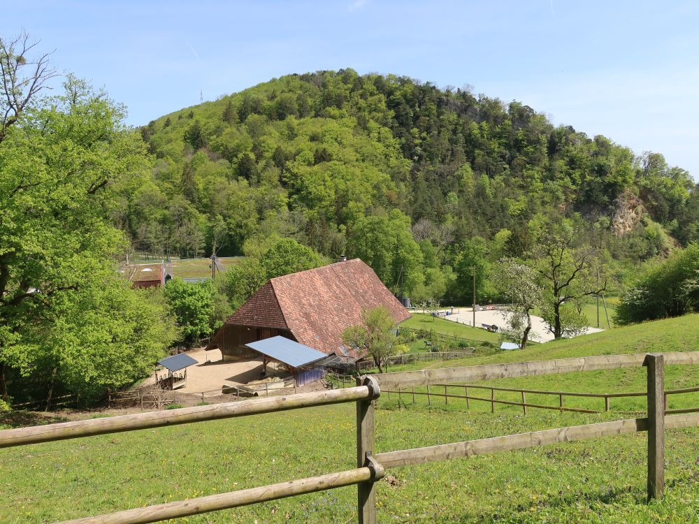 Bauernhon bei Bad Lostorf