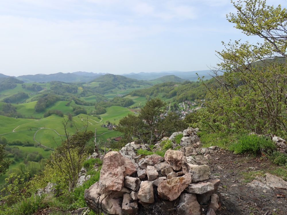 Blick von Flueberg