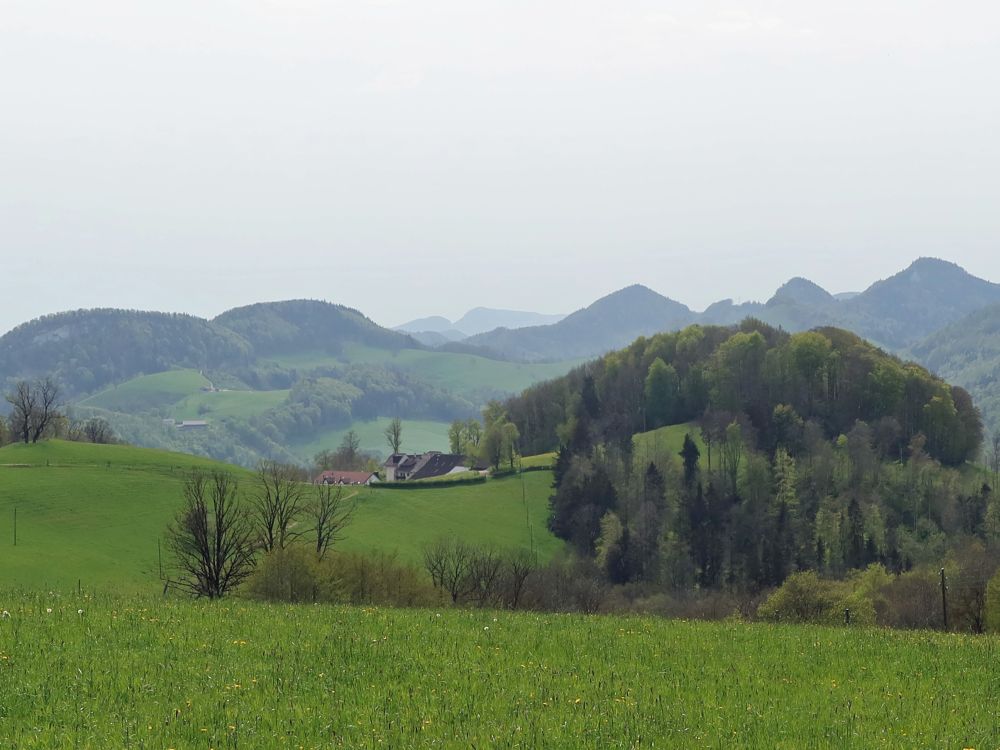 Blick Richtung Froburg