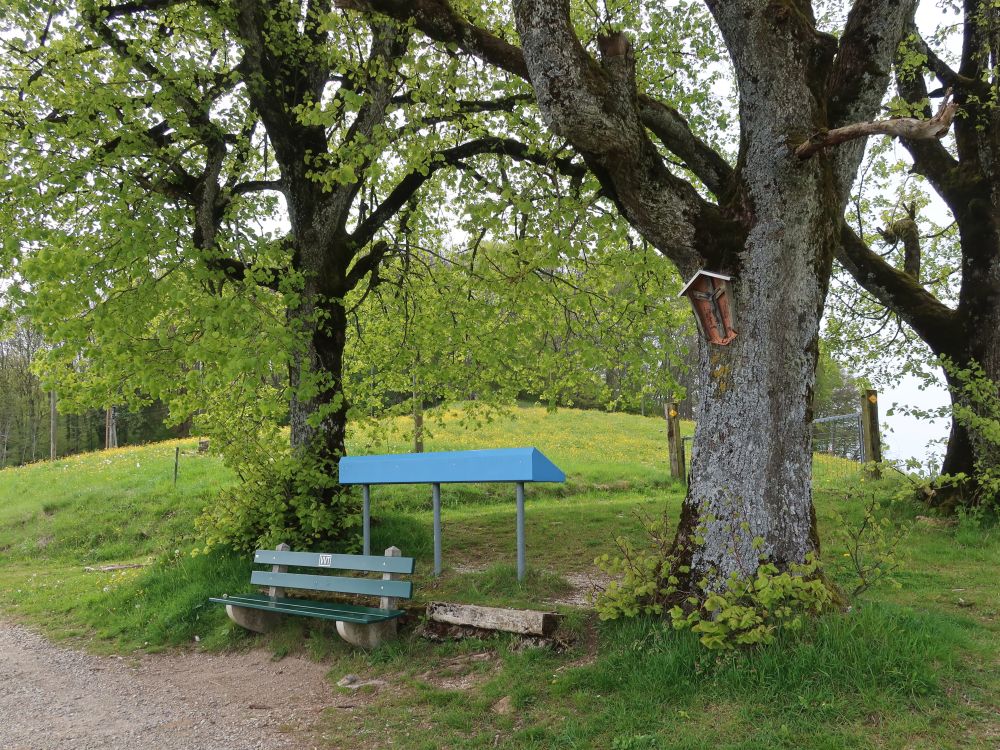 Sitzbank mit Panoramatafel