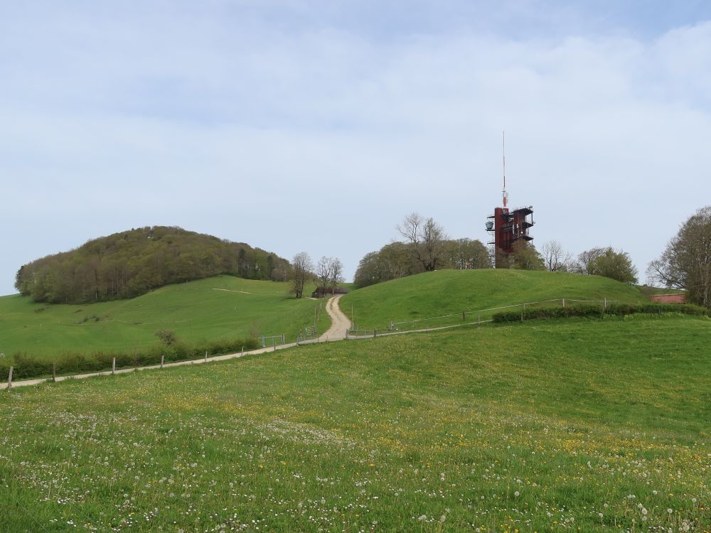 Dottenberg und Sendeturm