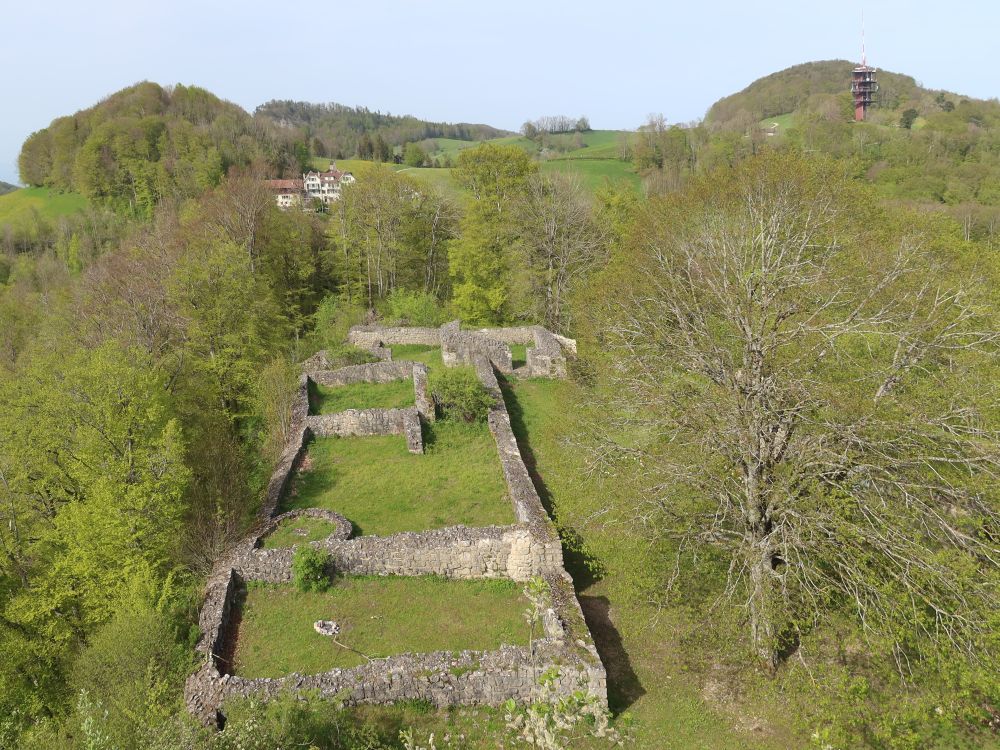 Burgruine Froburg