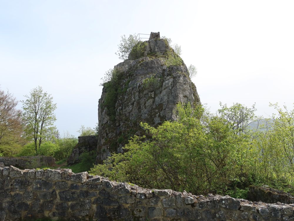 Burgruine Froburg