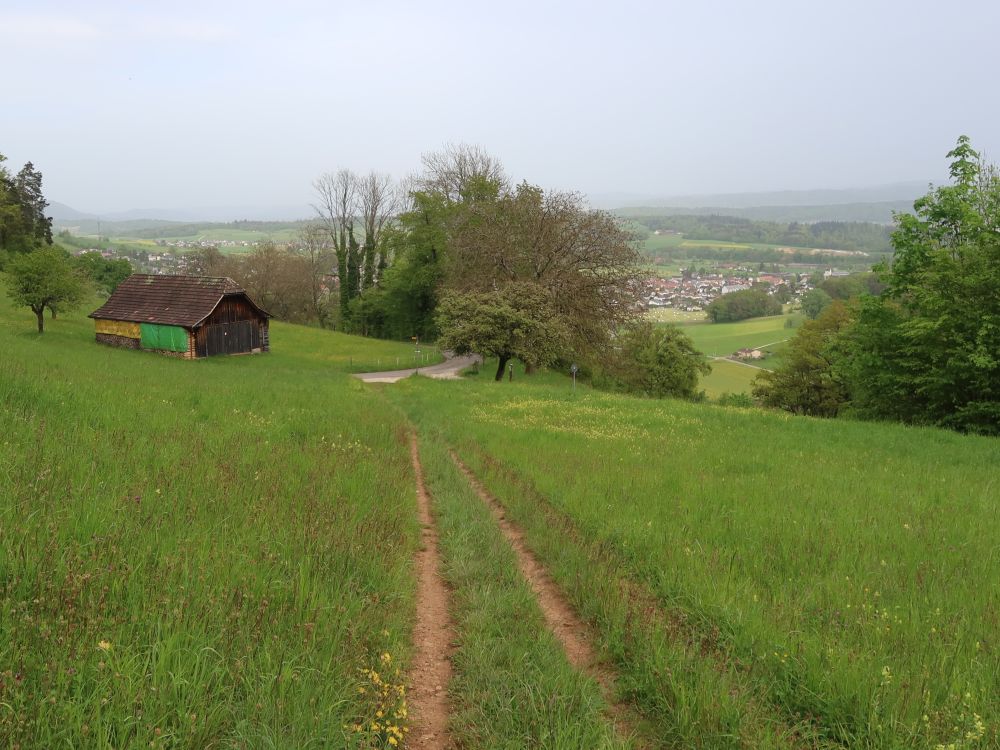 Wiesenpfad bei Hagstelli