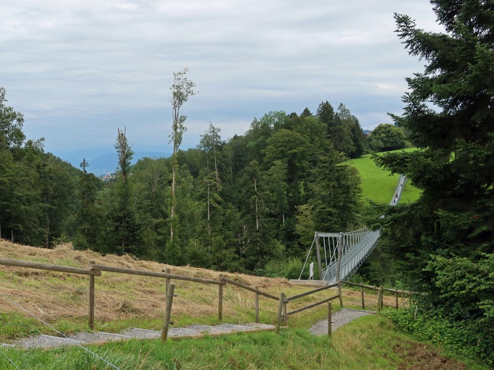 Hängebrücke