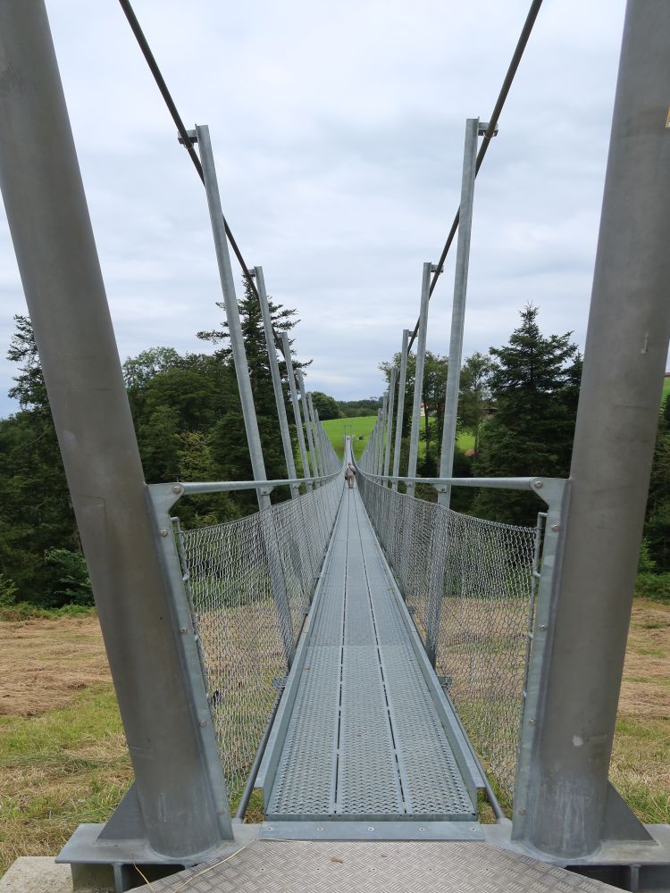 Hängebrücke